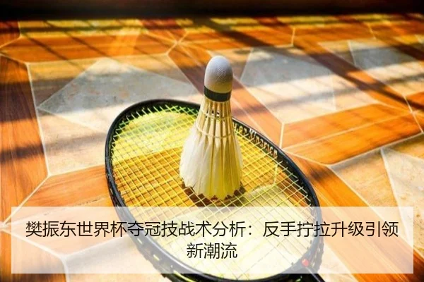 樊振东世界杯夺冠技战术分析：反手拧拉升级引领新潮流